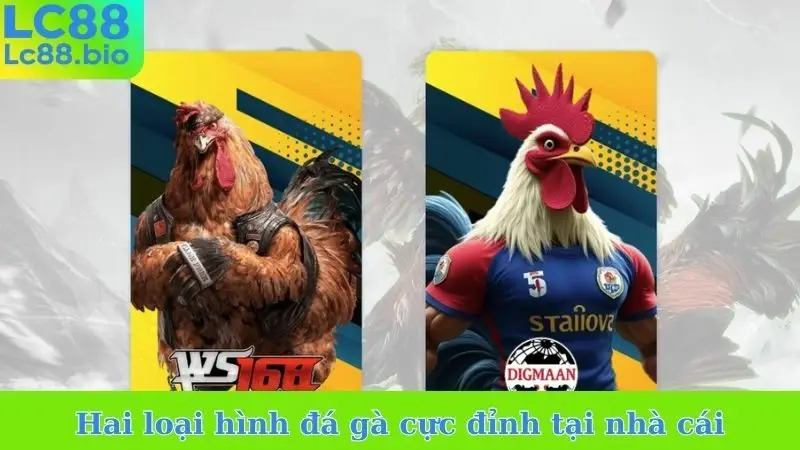 Hai loại hình đá gà cực đỉnh tại nhà cái